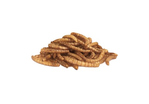 Little One Snack Mealworms / Лакомство Литтл Уан для всеядных грызунов Мучной червь