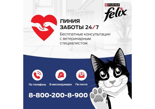 FELIX ДВОЙНАЯ ВКУСНЯТИНА / Сухой корм Пурина Феликс для взрослых кошек с мясом
