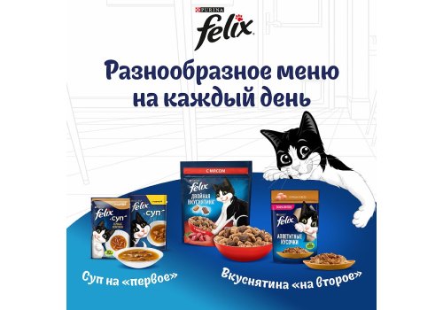 FELIX ДВОЙНАЯ ВКУСНЯТИНА / Сухой корм Пурина Феликс для взрослых кошек с мясом