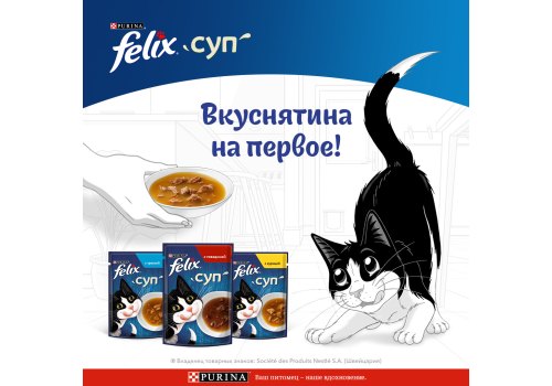 FELIX СУП / Влажный корм Паучи Пурина Феликс Суп для взрослых кошек с говядиной (цена за упаковку)