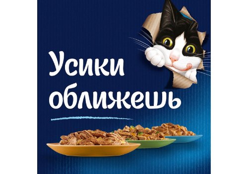 FELIX SENSATIONS / Влажный корм Паучи Феликс Сенсейшенс в соусе для взрослых кошек с индейкой (цена за упаковку)