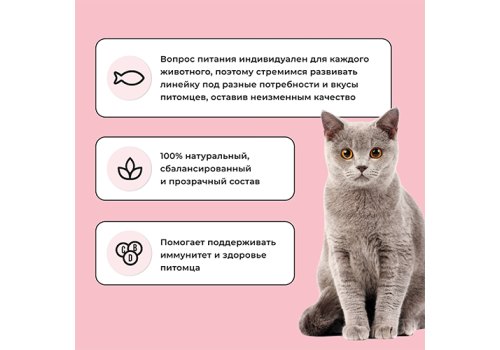 BOWL WOW / Сухой корм Боул Вау для Взрослых кошек с Индейкой и яблоком