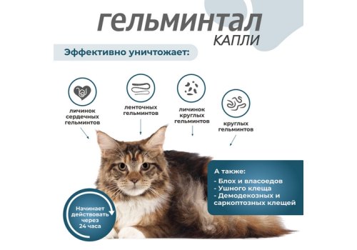 Гельминтал К Spot-on / Капли от Гельминтов на холку для кошек весом 4-10 кг