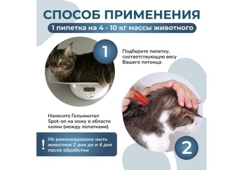 Гельминтал К Spot-on / Капли от Гельминтов на холку для кошек весом 4-10 кг