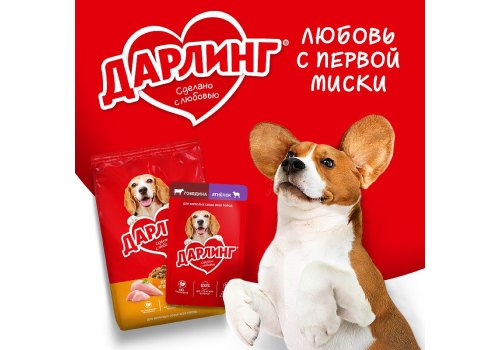 Дарлинг / Влажный корм Паучи для взрослых собак Курица в подливе (цена за упаковку)