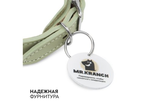Mr.Kranch / Ошейник Мистер Кранч для собак из Натуральной кожи с QR-адресником Нежно-зеленый