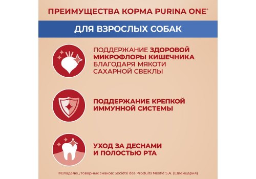 PURINA ONE ADULT / Сухой корм Пурина УАН для взрослых собак мелких пород с говядиной