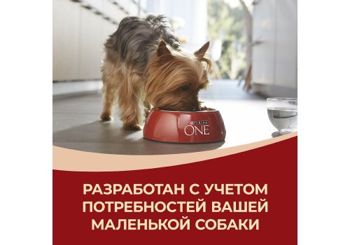 PURINA ONE ADULT / Сухой корм Пурина УАН для взрослых собак мелких пород с говядиной