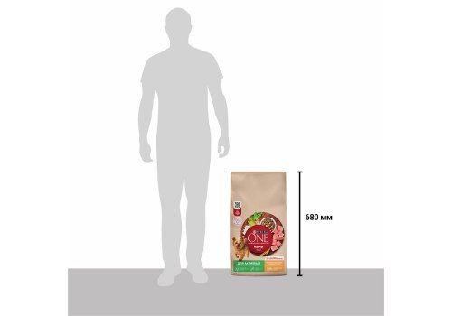 PURINA ONE MINI / Сухой корм Пурина УАН для взрослых собак мелких пород при активном образе жизни с курицей
