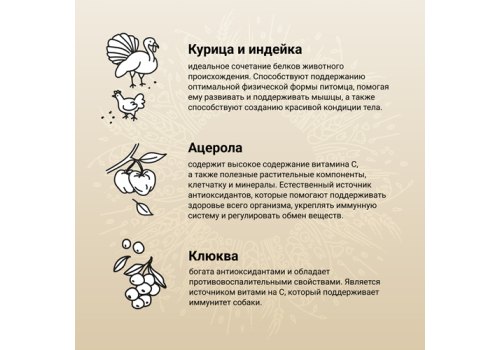 Craftia Natura Dog Adult Toy & Small Breed Chicken & Turkey / Сухой корм Крафтия для взрослых собак Миниатюрных и Мелких пород Курица индейка
