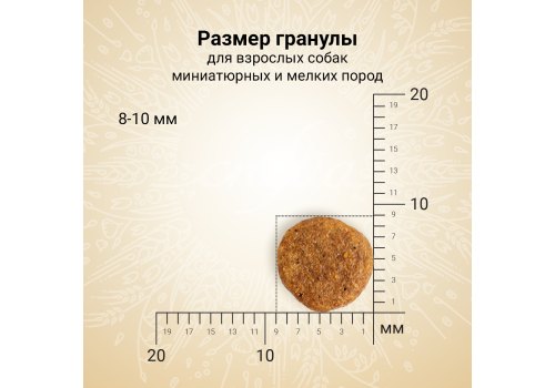 Craftia Natura Dog Adult Toy & Small Breed Chicken & Turkey / Сухой корм Крафтия для взрослых собак Миниатюрных и Мелких пород Курица индейка