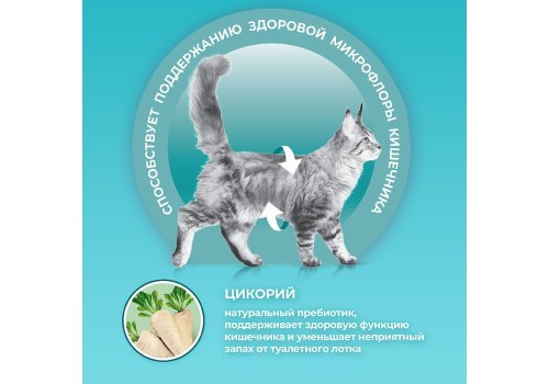 PURINA ONE STERILISED / Сухой корм Пурина УАН для взрослых стерилизованных кошек с лососем