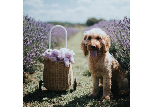 Aromadog Calm / Игрушка Аромадог для собак Собачка-плед с пищалкой Cиреневый