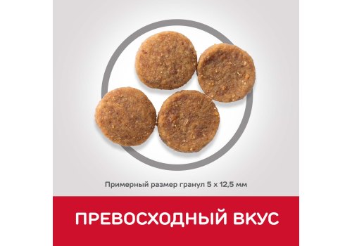 Hills Science Plan Adult 1-6 Medium Chicken / Сухой корм Хиллс для собак Средних пород Курица