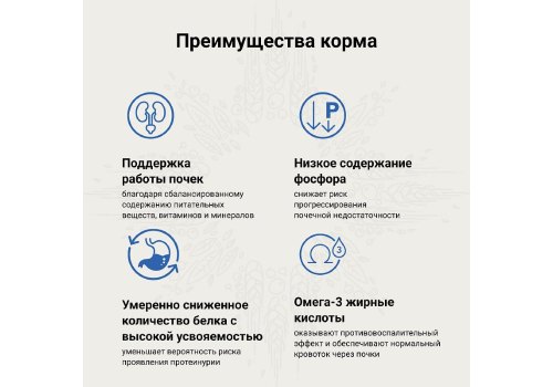 Craftia Galena Cat Renal Care / Ветеринарный сухой корм Крафтия для кошек при Почечной недостаточности