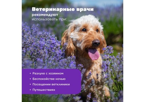 Aromadog Calm / Игрушка Аромадог для собак Собачка с канатами с пищалкой Cиреневый