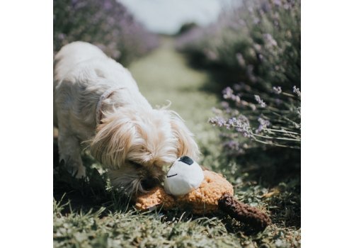 Aromadog Rescue / Игрушка Аромадог для собак Собачка кругляш с пищалкой Рыжий