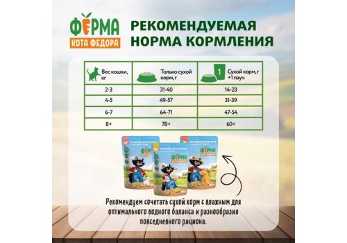 Ферма кота Фёдора Сухой корм для взрослых кошек с Курицей