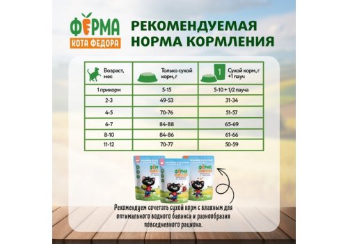Ферма кота Фёдора Сухой корм для котят от 1 месяца, беременных и кормящих кошек с Индейкой