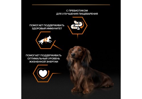 PRO PLAN EVERYDAY NUTRITION ADULT SMALL&MINI / Влажный корм Паучи ПРО ПЛАН для взрослых собак Мелких и Карликовых пород с Уткой в соусе (цена за упаковку)
