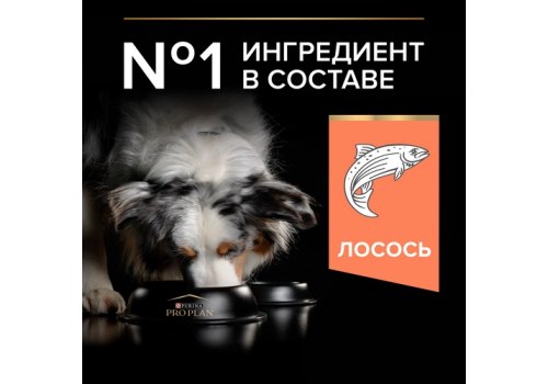 PRO PLAN OPTI DERMA / Сухой корм ПРО ПЛАН для взрослых собак средних пород при чувствительной коже с лососем