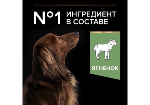 PRO PLAN OPTI DIGEST / Сухой корм ПРО ПЛАН для взрослых собак мелких пород при чувствительном пищеварении с ягненком