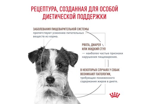 Royal Canin Gastrointerstinal Low Fat Small Dog / Ветеринарный сухой корм Роял Канин Гастро Интестинал Лоу Фэт Смол Дог для собак Мелких пород при нарушении Пищеварения Низкокалорийный