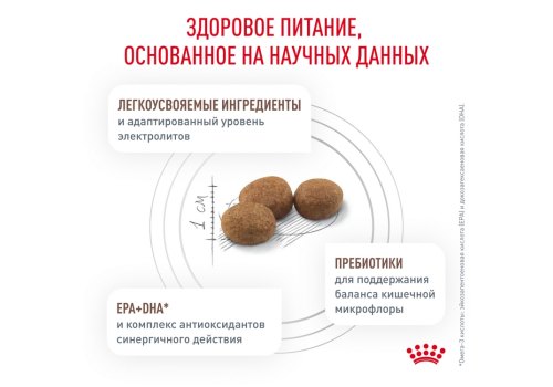 Royal Canin Gastrointerstinal Low Fat Small Dog / Ветеринарный сухой корм Роял Канин Гастро Интестинал Лоу Фэт Смол Дог для собак Мелких пород при нарушении Пищеварения Низкокалорийный
