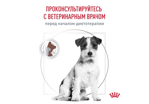 Royal Canin Gastrointerstinal Low Fat Small Dog / Ветеринарный сухой корм Роял Канин Гастро Интестинал Лоу Фэт Смол Дог для собак Мелких пород при нарушении Пищеварения Низкокалорийный