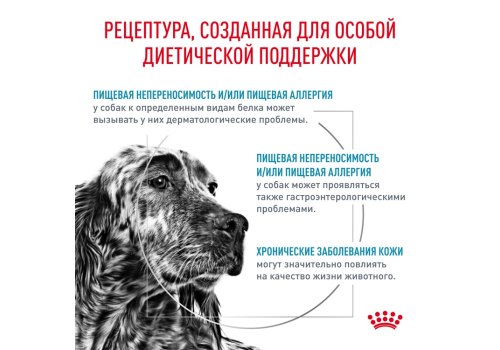 Royal Canin Hypoallergenic DR21 / Ветеринарный сухой корм Роял Канин Гипоаллергенный для собак с Пищевой аллергей и непереносимостью