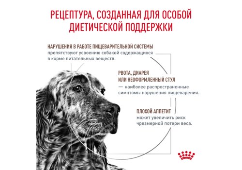 Royal Canin Gastrointestinal GI25 / Ветеринарный сухой корм Роял Канин Гастро Интестинал для взрослых собак при нарушении Пищеварения