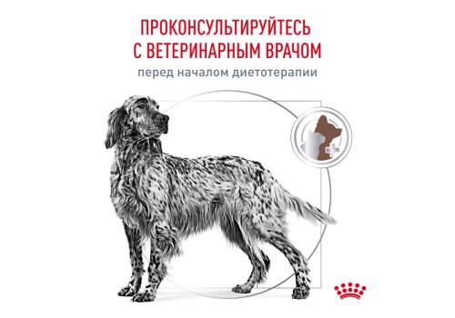 Royal Canin Gastrointestinal GI25 / Ветеринарный сухой корм Роял Канин Гастро Интестинал для взрослых собак при нарушении Пищеварения
