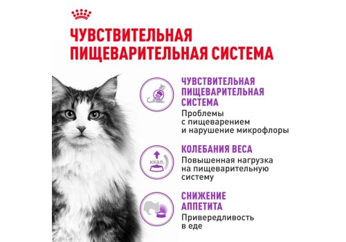 Royal Canin Sensible / Сухой корм Роял Канин Сенсибл для кошек с Чувствительным пищеварением