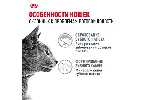 Royal Canin Dental Care / Сухой корм Роял Канин Дентал Кэа для кошек Уход за полостью рта Чистка зубов