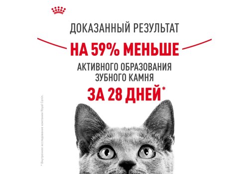 Royal Canin Dental Care / Сухой корм Роял Канин Дентал Кэа для кошек Уход за полостью рта Чистка зубов