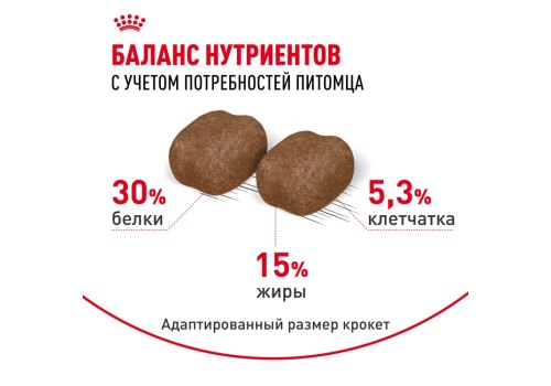 Royal Canin Dental Care / Сухой корм Роял Канин Дентал Кэа для кошек Уход за полостью рта Чистка зубов