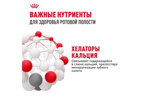 Royal Canin Dental Care / Сухой корм Роял Канин Дентал Кэа для кошек Уход за полостью рта Чистка зубов