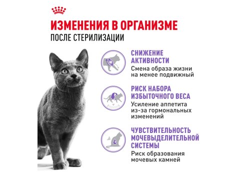 Royal Canin Sterilised / Сухой корм Роял Канин Стерилайзд для взрослых Кастрированных котов и Стерилизованных кошек в возрасте от 1 года до 7 лет