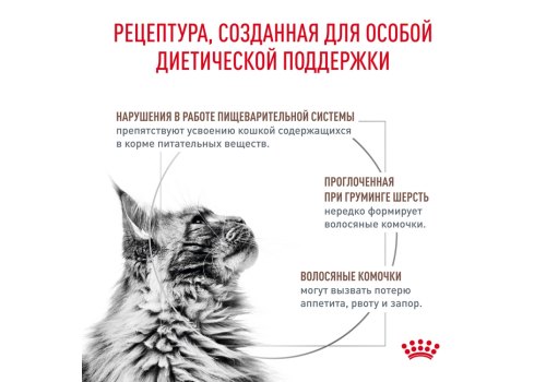 Royal Canin Gastrointestinal Hairball / Ветеринарный сухой корм Роял Канин Гастро Интестинал Хэйрбол для кошек Нарушения пищеварения Вывод волосяных комочков