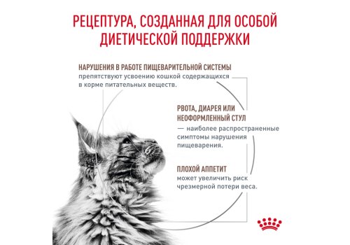 Royal Canin Gastrointestinal / Ветеринарный сухой корм Роял Канин Гастро Интестинал для кошек Заболевание ЖКТ (нарушения пищеварения)