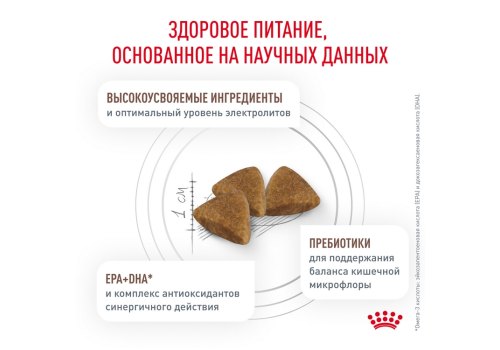 Royal Canin Gastrointestinal / Ветеринарный сухой корм Роял Канин Гастро Интестинал для кошек Заболевание ЖКТ (нарушения пищеварения)