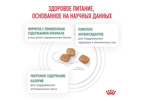 Royal Canin Diabetic DS46 / Ветеринарный сухой корм Роял Канин Диабетик для кошек Сахарный диабет