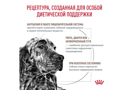 Royal Canin Gastrointestinal Low Fat LF22 / Ветеринарный сухой корм Роял Канин Гастро Интестинал Лоу Фэт для собак при нарушении Пищеварения Низкокалорийный