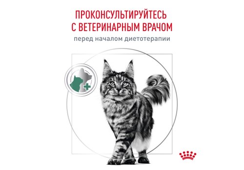 Royal Canin Satiety Weight Management / Ветеринарный сухой корм Роял Канин Сэтайети Вейт Менеджмент для кошек Контроль избыточного веса