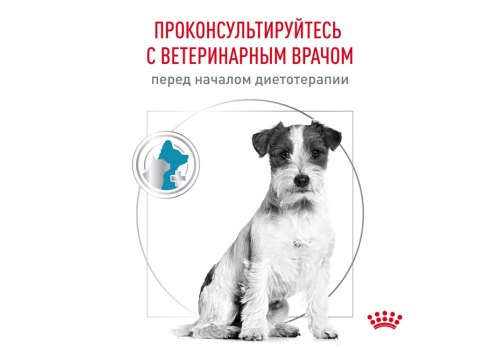 Royal Canin Hypoallergenic Small Dog HSD24 / Ветеринарный сухой корм Роял Канин Гипоаллергенный для собак Мелких пород с Пищевой аллергией и непереносимостью