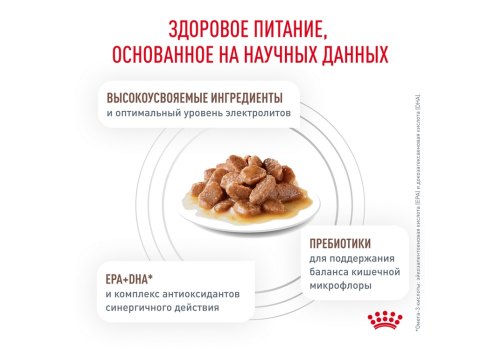 Royal Canin Gastrointestinal / Ветеринарный влажный корм (Консервы-Паучи) Роял Канин Гастро Интестинал для кошек Нарушения пищеварения (цена за упаковку)