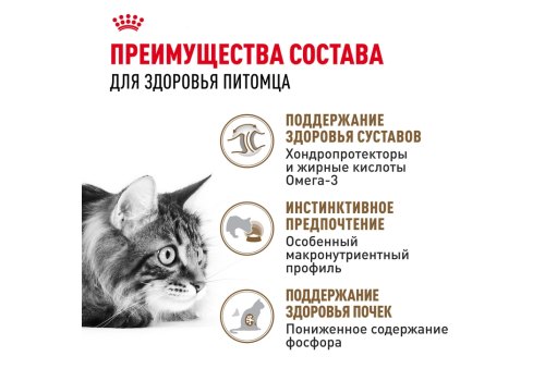 Royal Canin Ageing 12+ Sause / Влажный корм (Консервы-Паучи) Роял Канин Эйжинг для Пожилых кошек старше 12 лет в Соусе (цена за упаковку)
