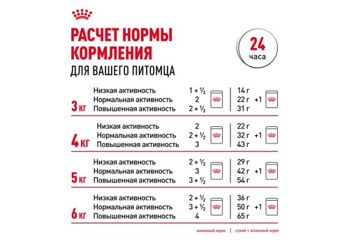 Royal Canin Ageing 12+ Sause / Влажный корм (Консервы-Паучи) Роял Канин Эйжинг для Пожилых кошек старше 12 лет в Соусе (цена за упаковку)