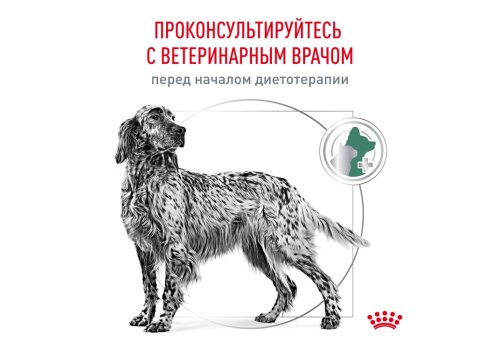 Royal Canin Diabetic Canine DC37 / Ветеринарный сухой корм Роял Канин Диабетик для собак Сахарный диабет