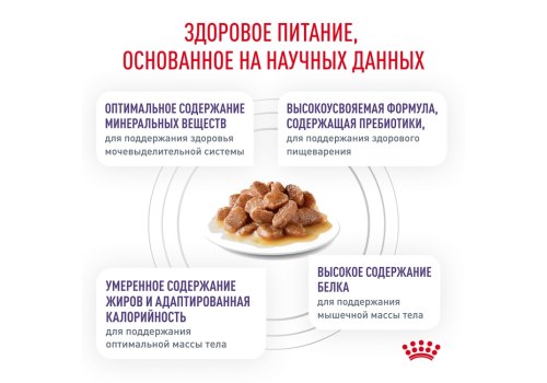 Royal Canin Neutered Maintenance / Ветеринарный влажный корм (Консервы-Паучи) Роял Канин Ньютеред Мэйнтенэнс для Взрослых Кастрированных котов и Стерилизованных кошек в Соусе (цена за упаковку)